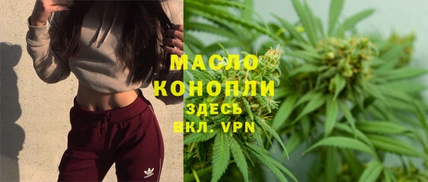 индика Абинск
