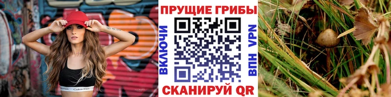 Галлюциногенные грибы ЛСД  Новочеркасск 